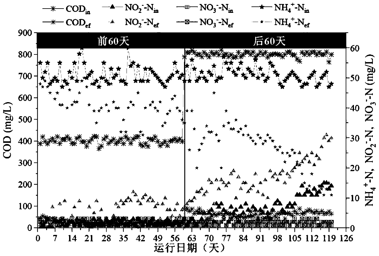 Method for culturing and treating halophilic granular sludge of high-salt wastewater