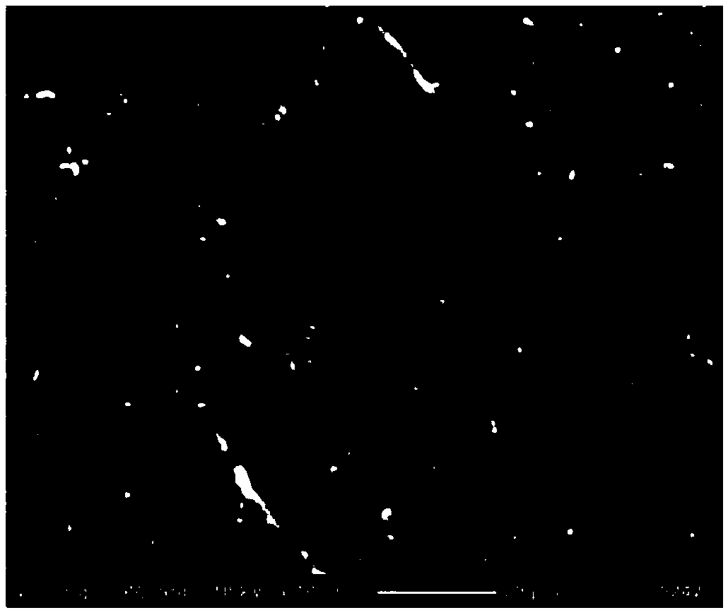 Silicone rubber composition and preparation method thereof