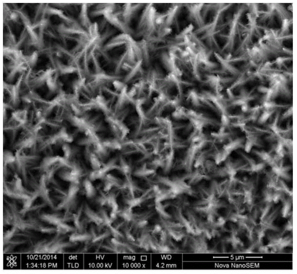 Cobaltosic oxide/NiCoAl dual-layer hydroxide composite material and preparation method thereof