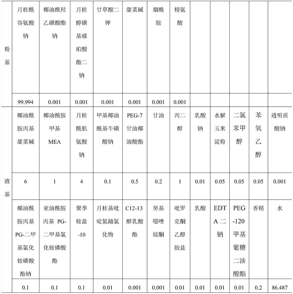 Powder- and liquid-based composite shampoo as well as preparation method and use method thereof