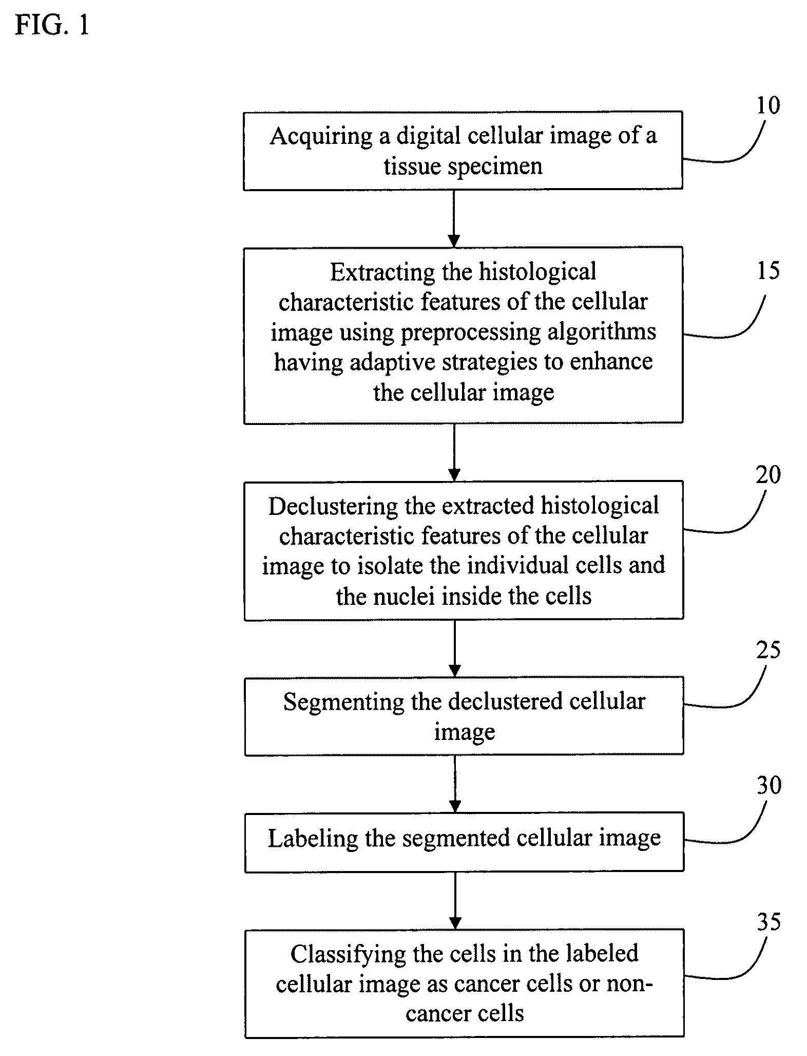 Computer-aided pathological diagnosis system