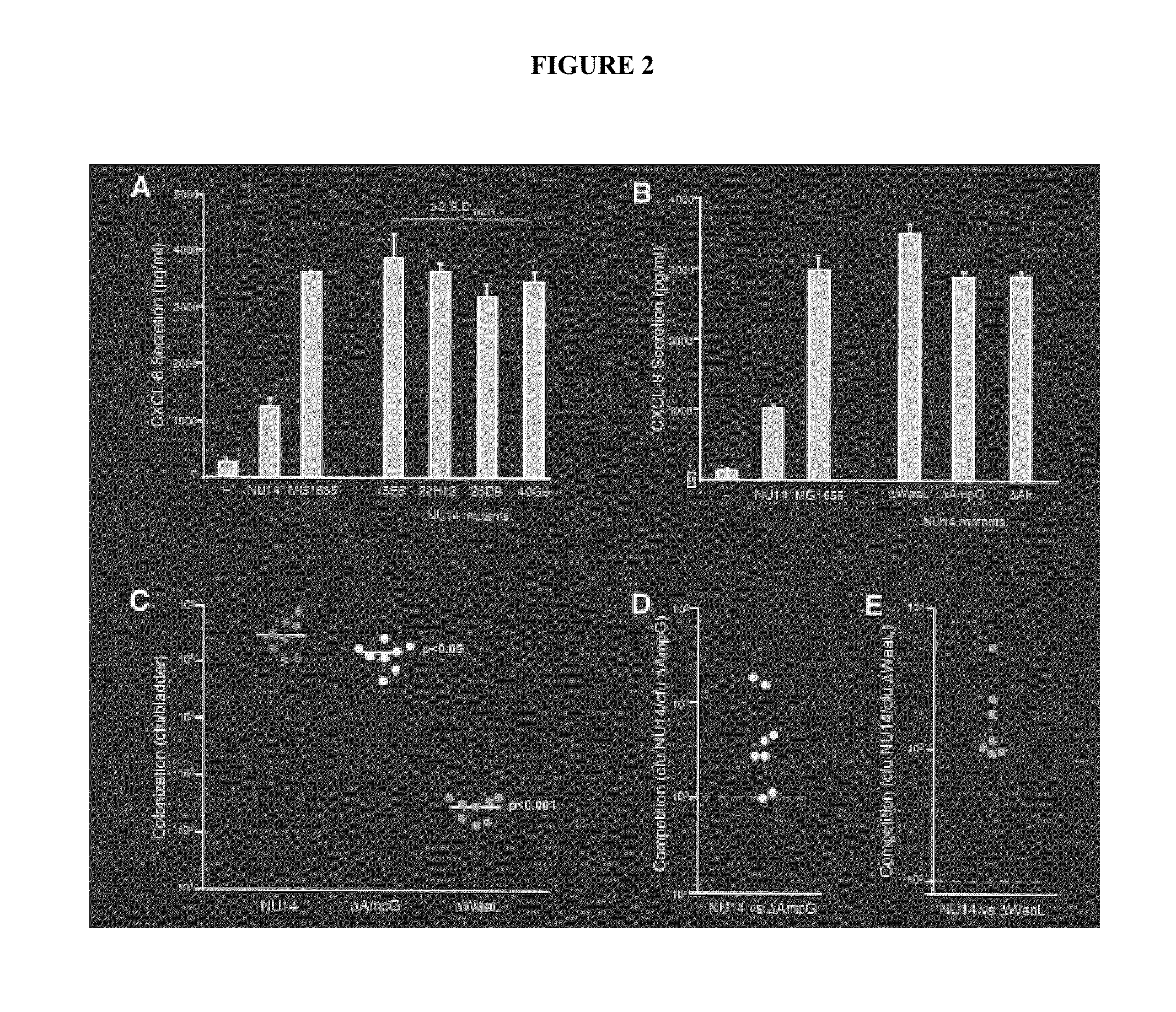 Live-attenuated compositions for bacterial infections