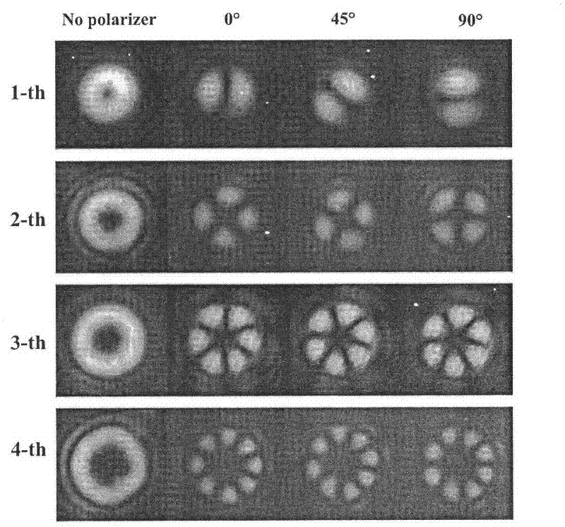 A system for generating vector beams by combining beams with Wollaston prisms