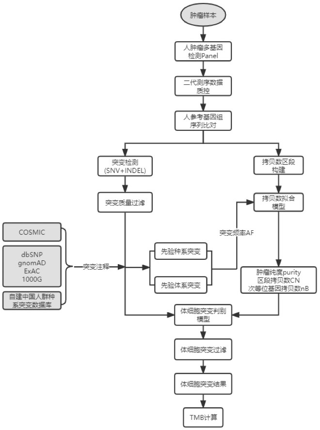 Single-sample tumor somatic mutation discrimination and TMB detection method based on NGS platform