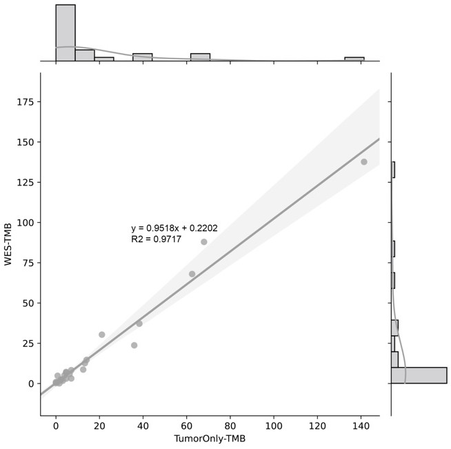 Single-sample tumor somatic mutation discrimination and TMB detection method based on NGS platform