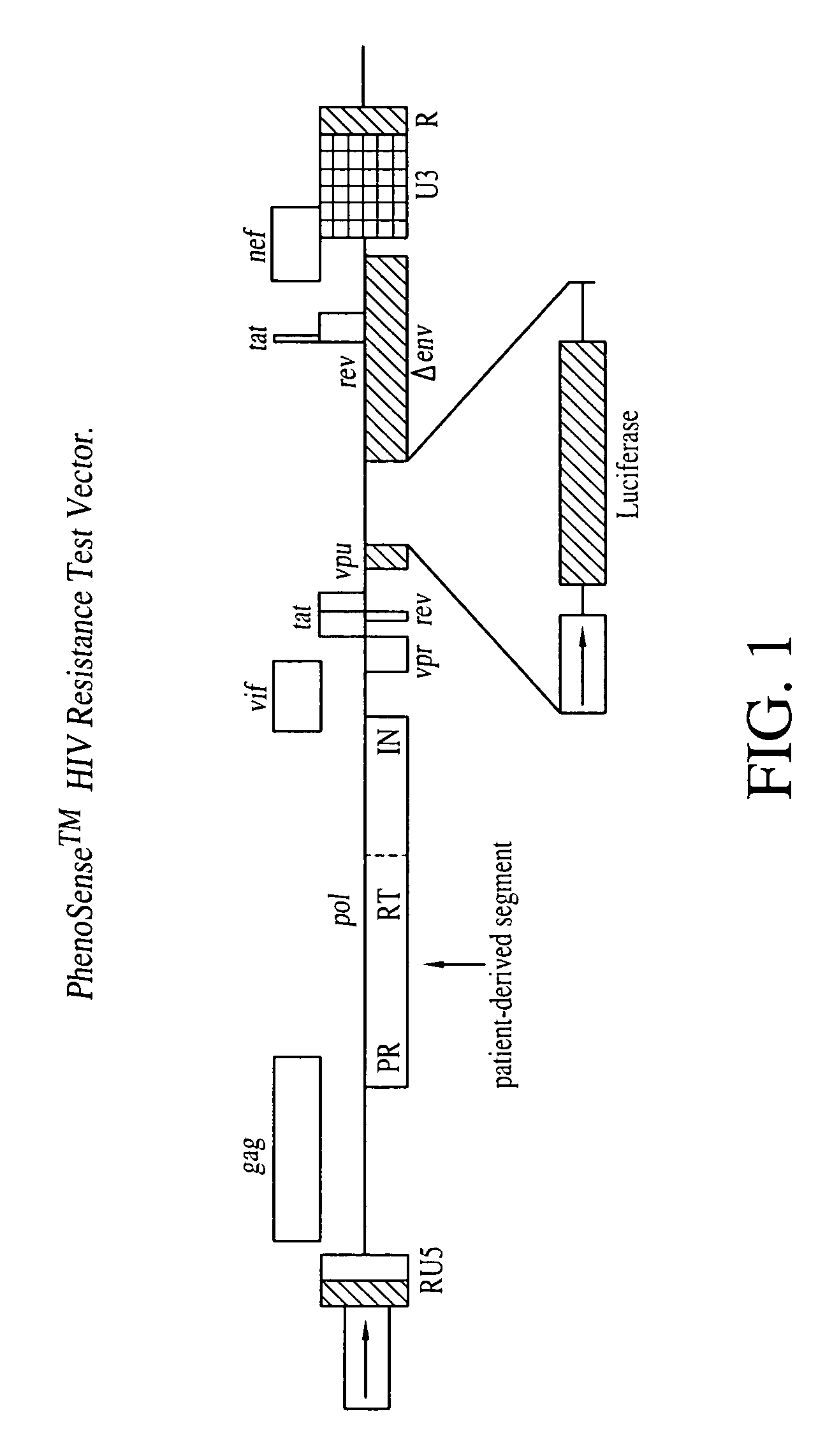 Means and methods for monitoring protease inhibitor antiretroviral therapy and guiding therapeutic decisions in the treatment of HIV/AIDS