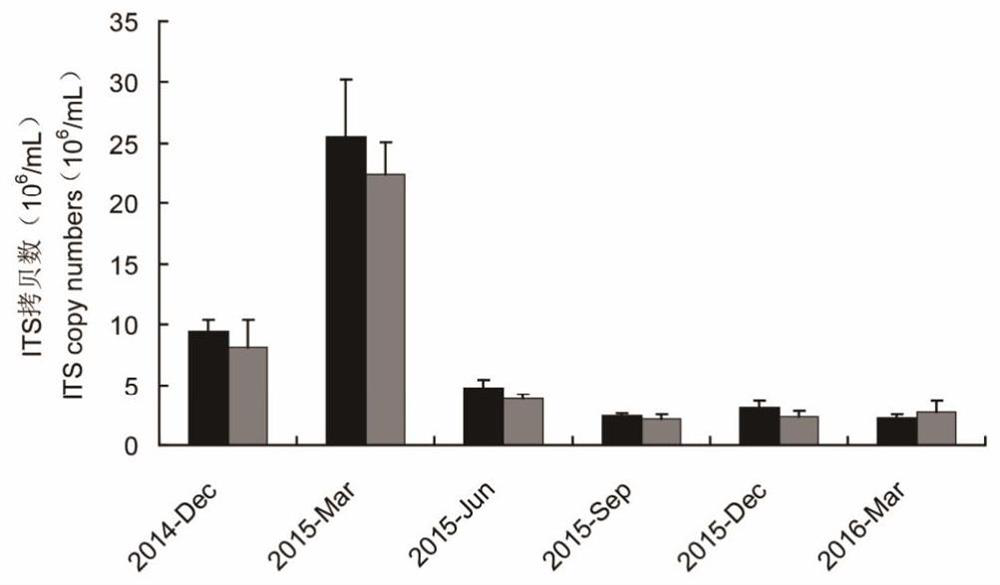 A real-time quantitative PCR detection method for spores/gametes of Ulva feldspar, Ulva hard and Hemerocallis in sea cucumber culture water