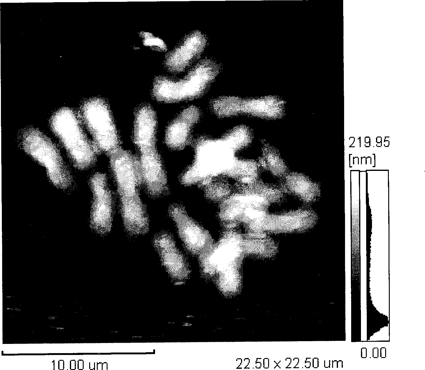 Accurate positioning method based on atomic force microscope