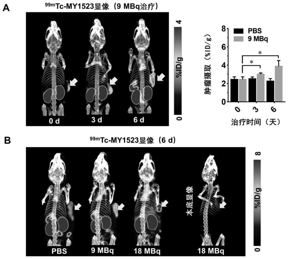 Pharmaceutical composition for targeted radiation and immune combined treatment of tumors