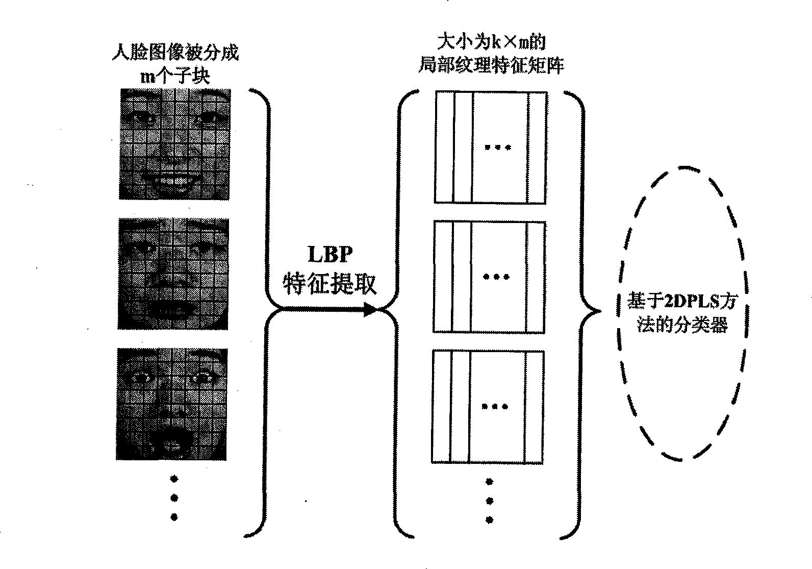 Method for recognizing facial expression based on 2D partial least square method