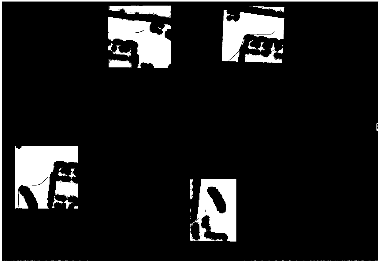 Dynamic smooth path planning method based on D*_lite algorithm