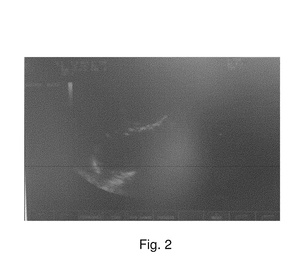 Lactic acid-containing composition for inducing animal ovarian dysfunction