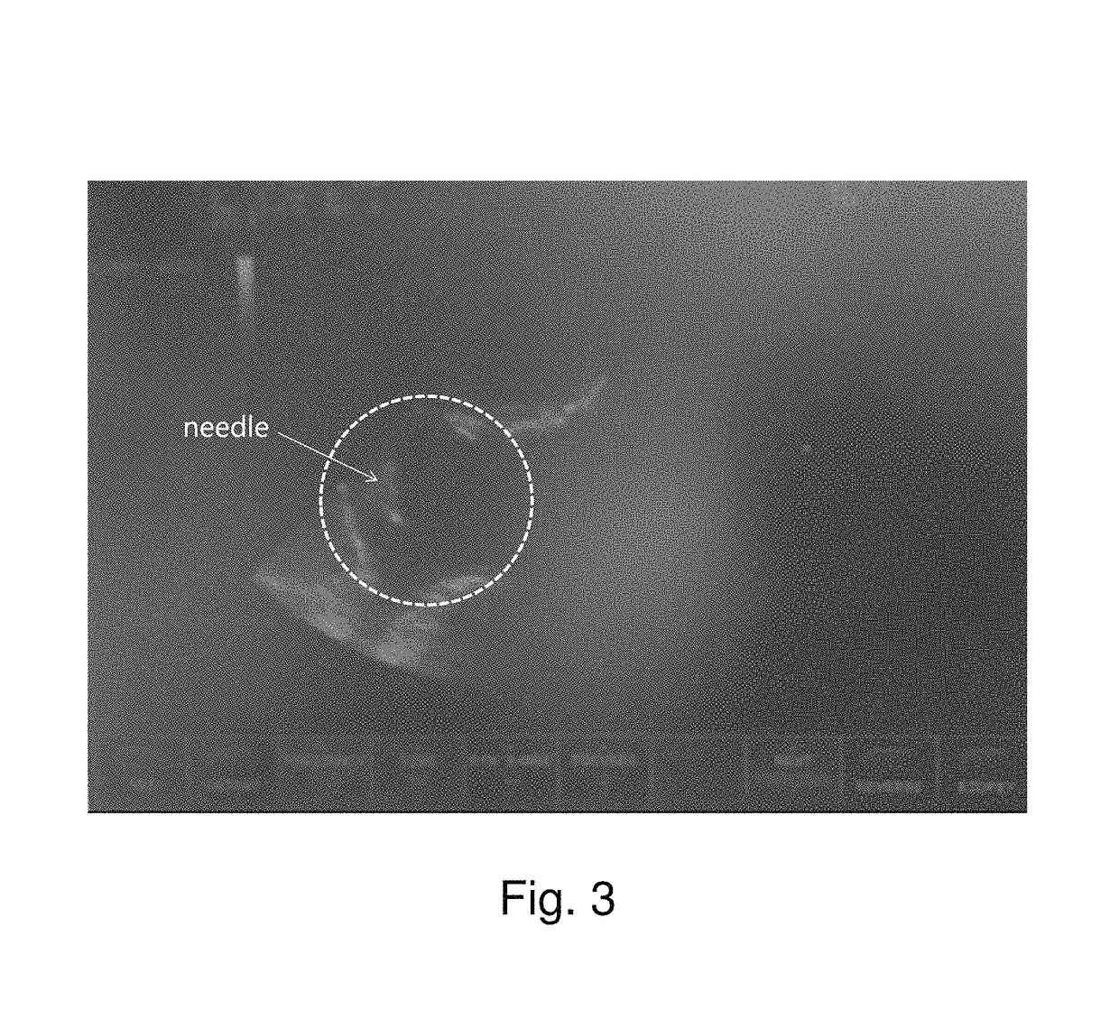 Lactic acid-containing composition for inducing animal ovarian dysfunction