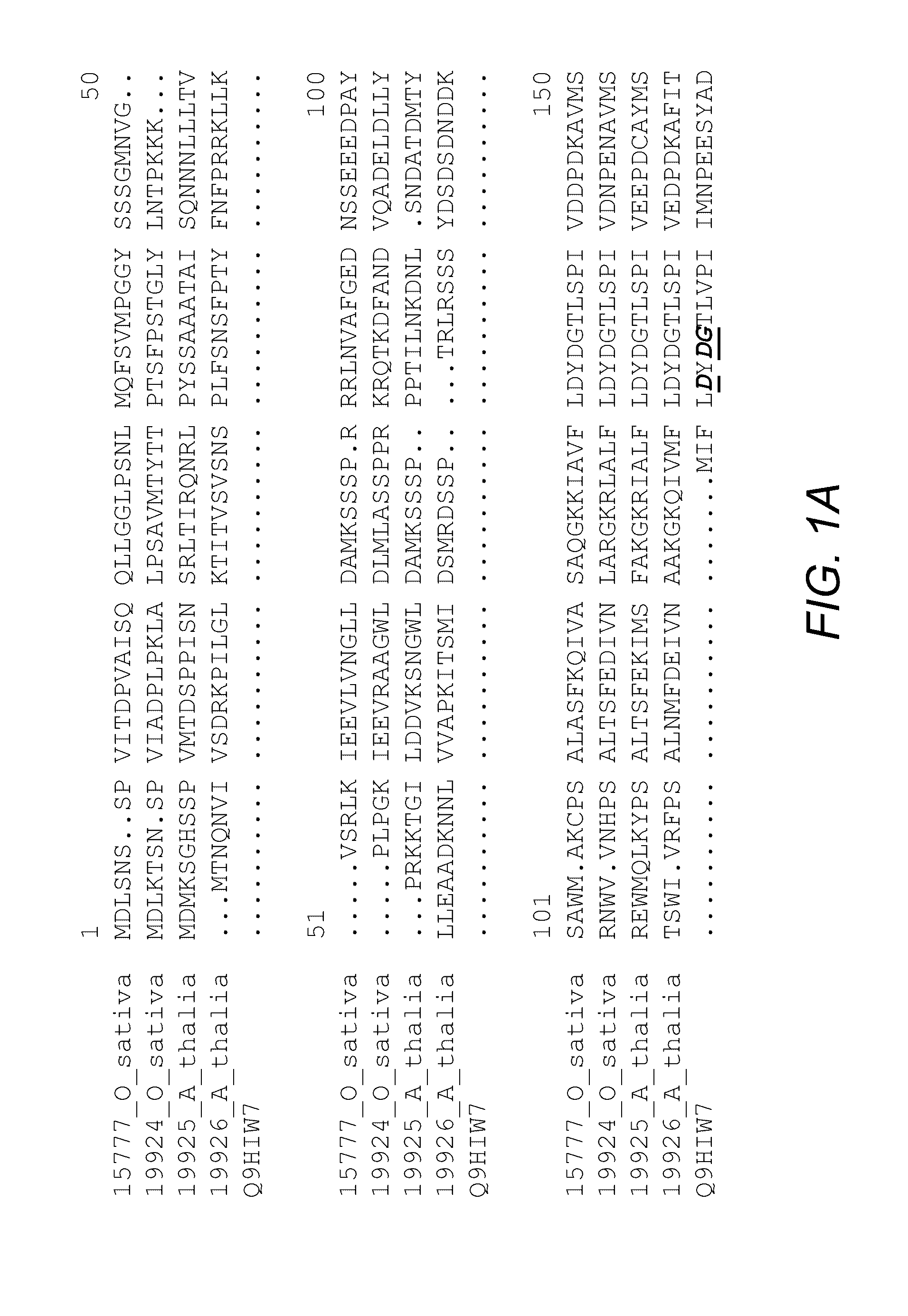 Methods of increasing yield and stress tolerance in a plant by decreasing the activity of a trehalose-6-phosphate phosphatase