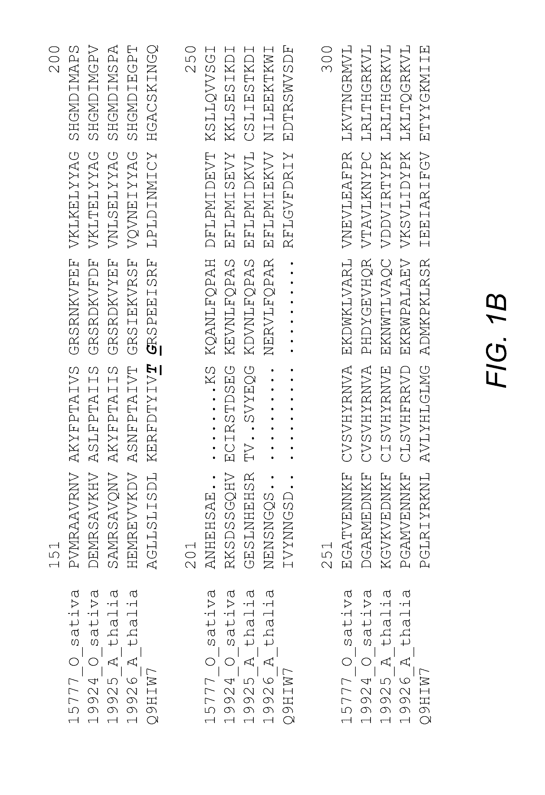 Methods of increasing yield and stress tolerance in a plant by decreasing the activity of a trehalose-6-phosphate phosphatase