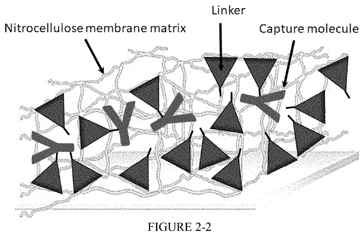 Nitrocellulose membrane comprising non-covalently attached organic nanostructured molecule