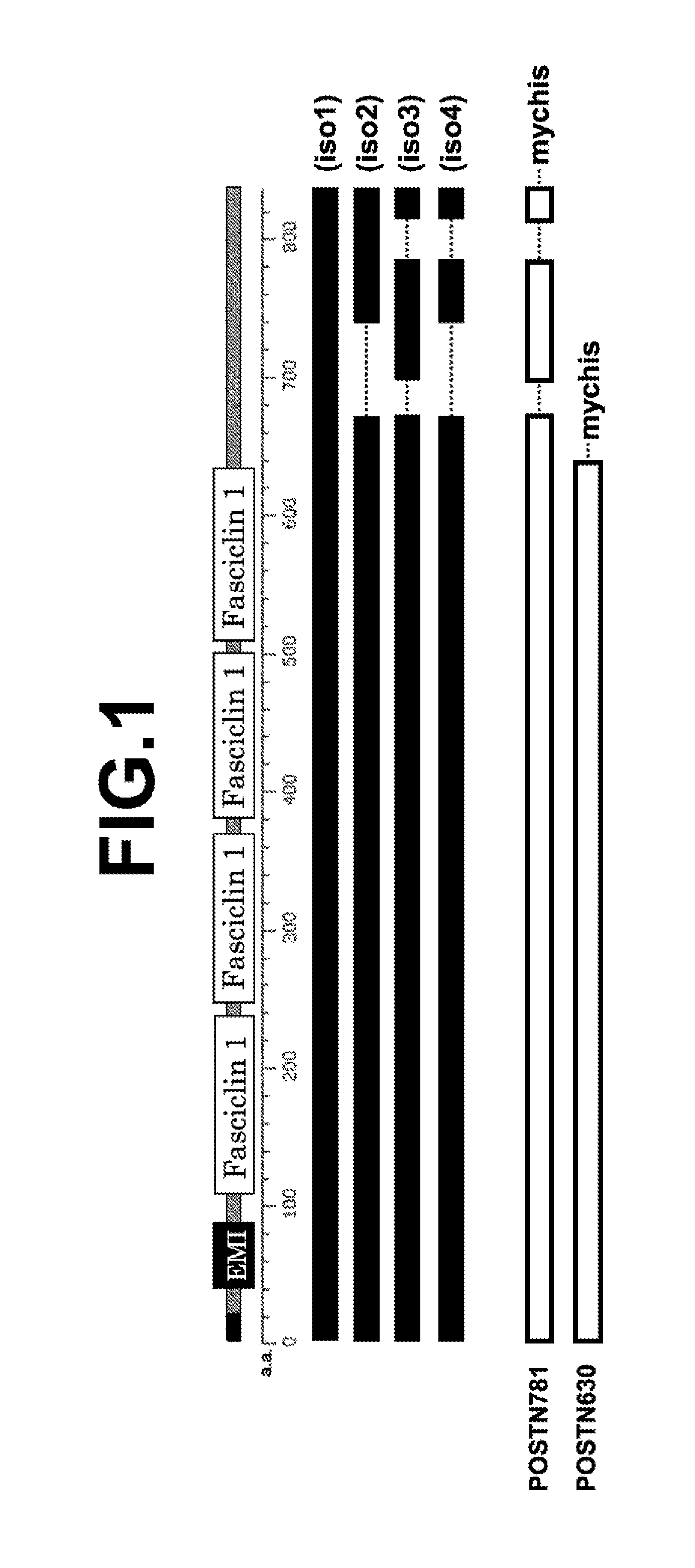 Molecular marker for the early detection of malignant pleural mesothelioma and the methods of its expression analysis using blood and pleural effusion samples