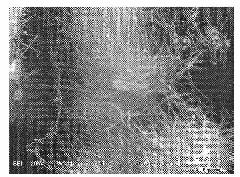 Preparation method of manganese dioxide one-dimensional nanomaterial