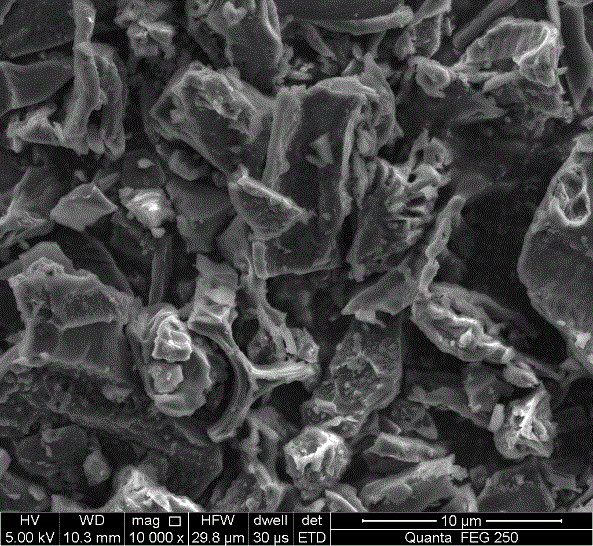 Method for preparing activated carbon for supercapacitors from camphor tree leaves