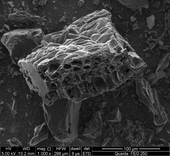 Method for preparing activated carbon for supercapacitors from camphor tree leaves