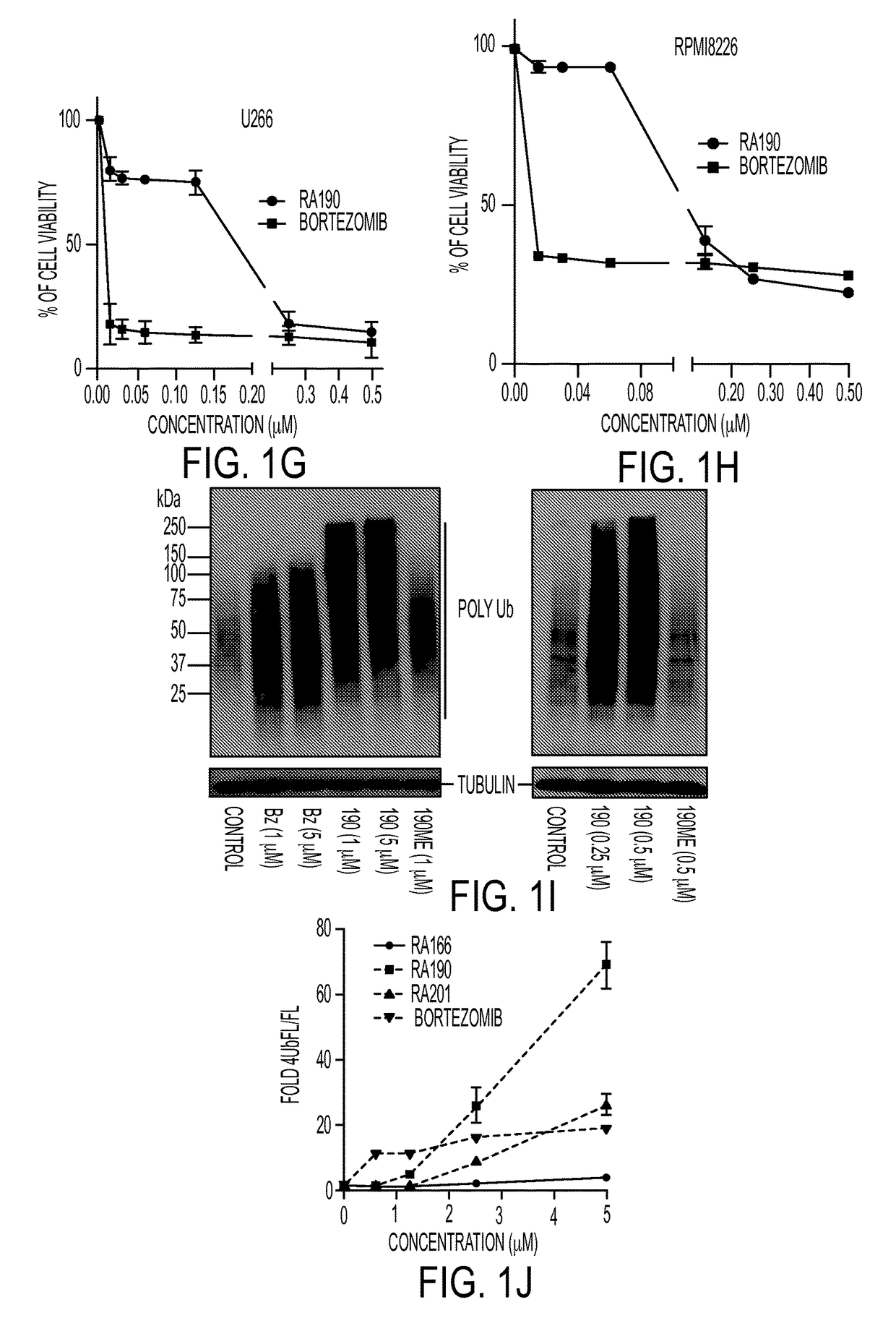 Bis-benzylidine piperidone proteasome inhibitor with anticancer activity