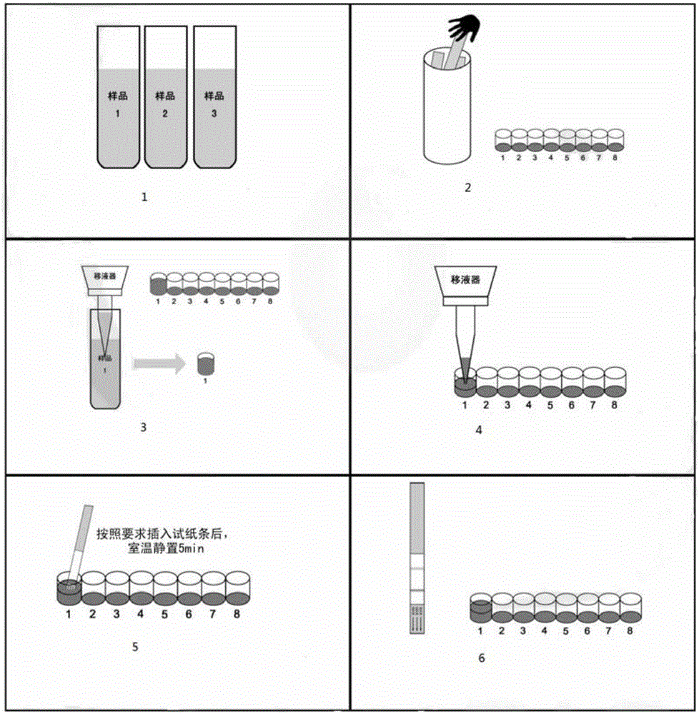 Colloidal gold immunochromatographic assay test strip for detecting dexamethasone residues in milk