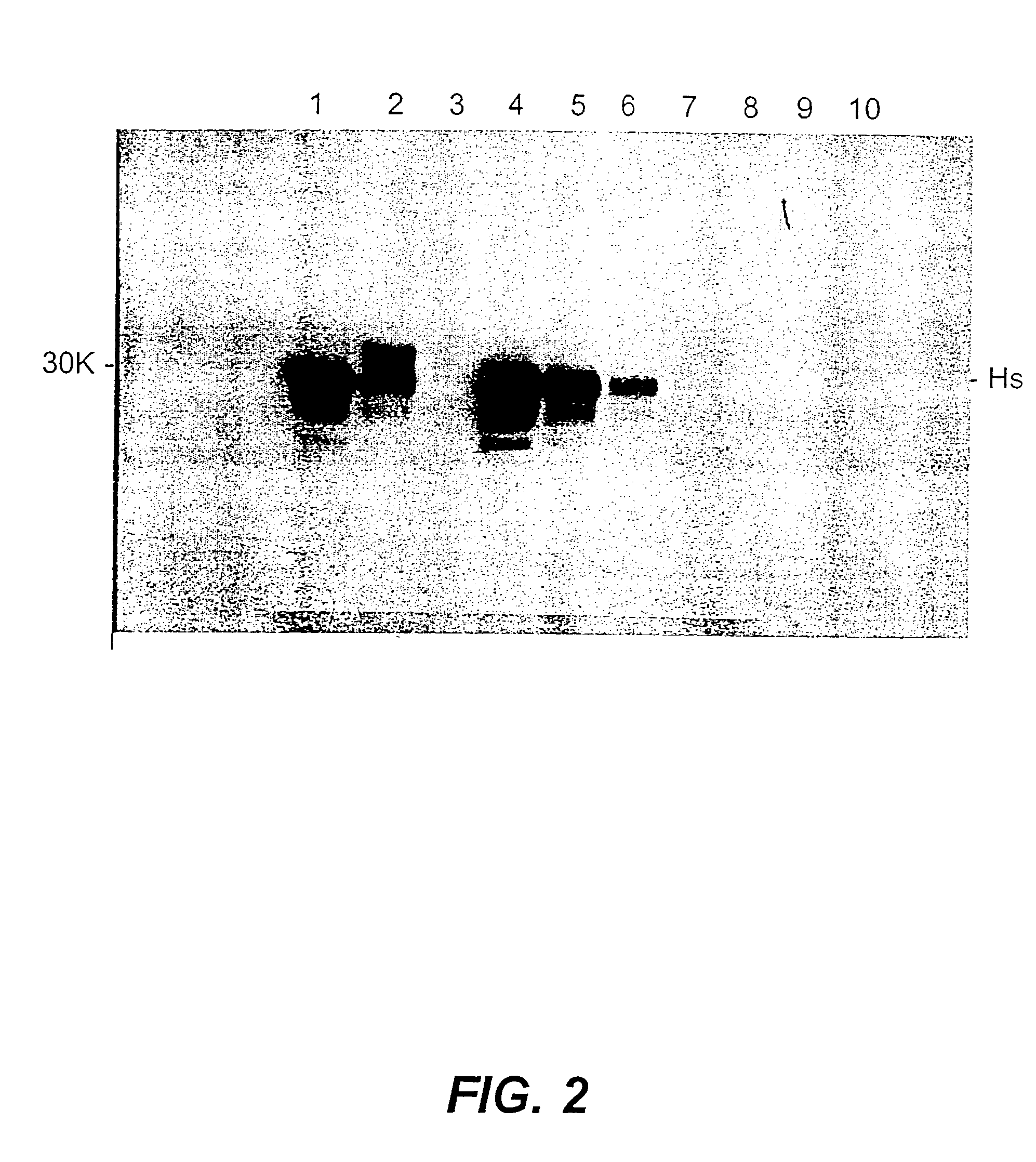 Decontamination of animal feed containing prion (eg bse agent)