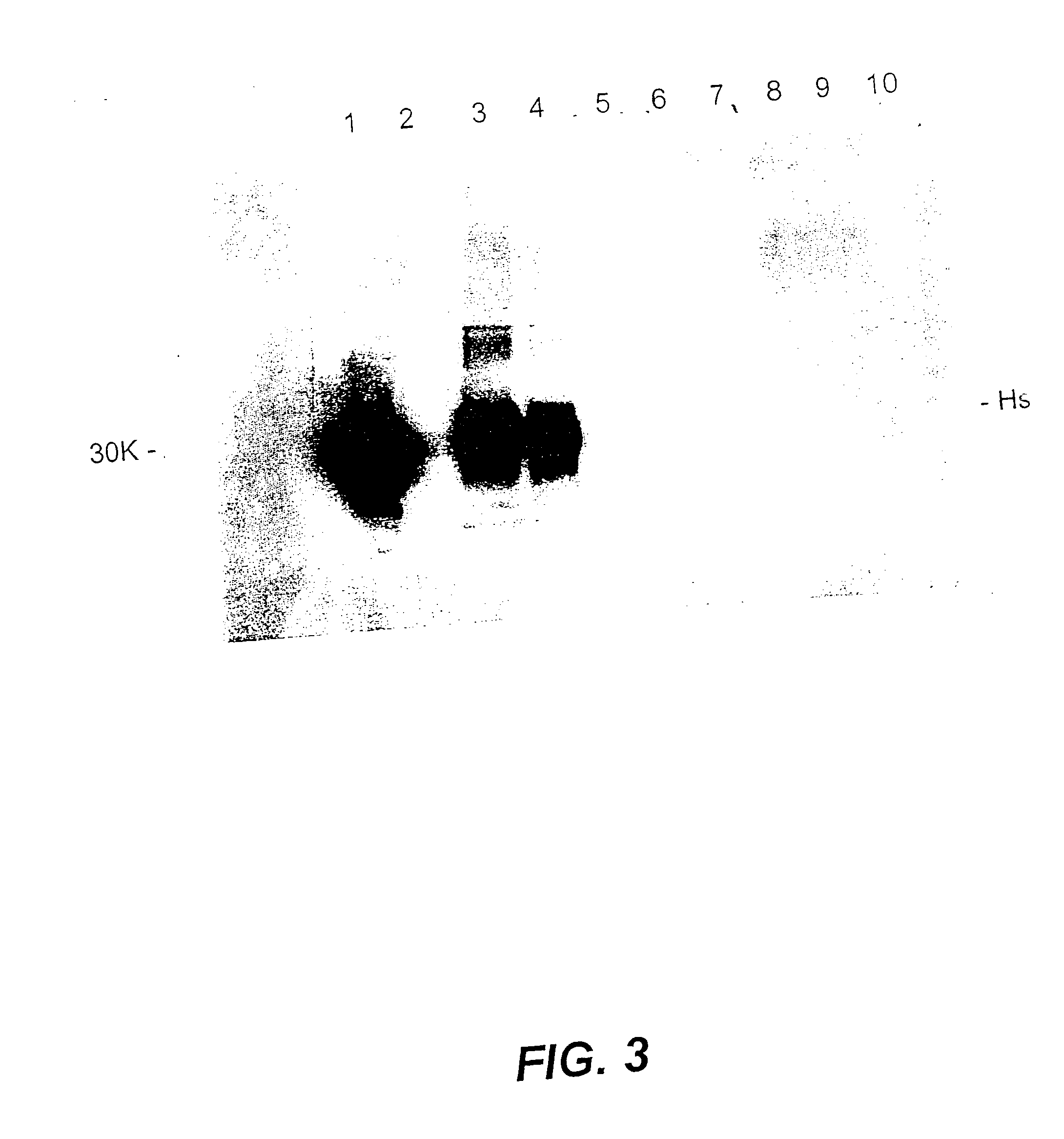 Decontamination of animal feed containing prion (eg bse agent)