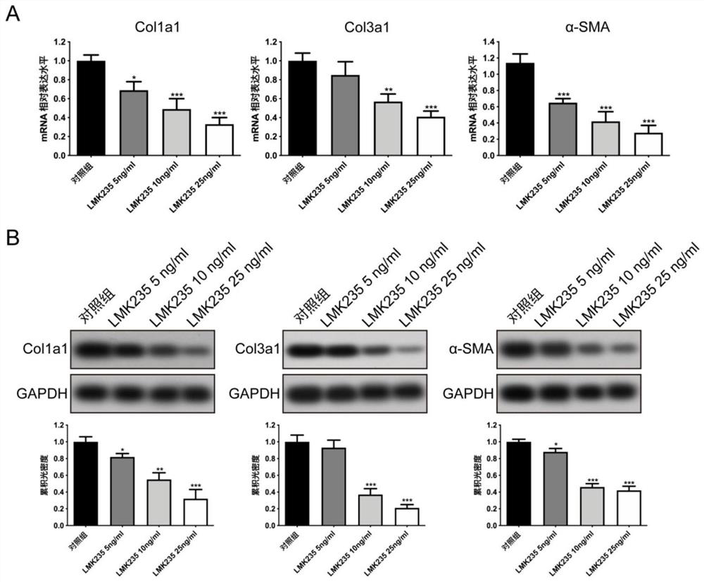 Application of LMK235 in medicine for inhibiting scar formation