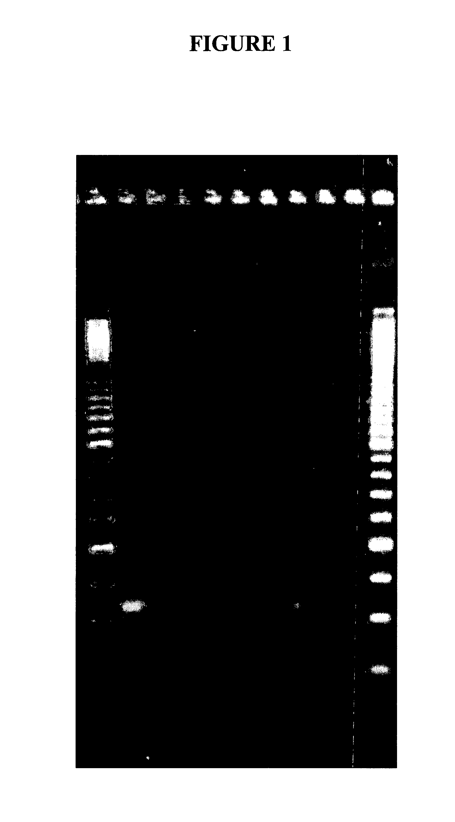 Compositions and methods for removal of DNA from a sample