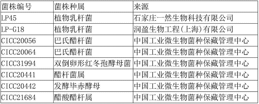 Fermented beverage having function of resisting weariness and preparation method