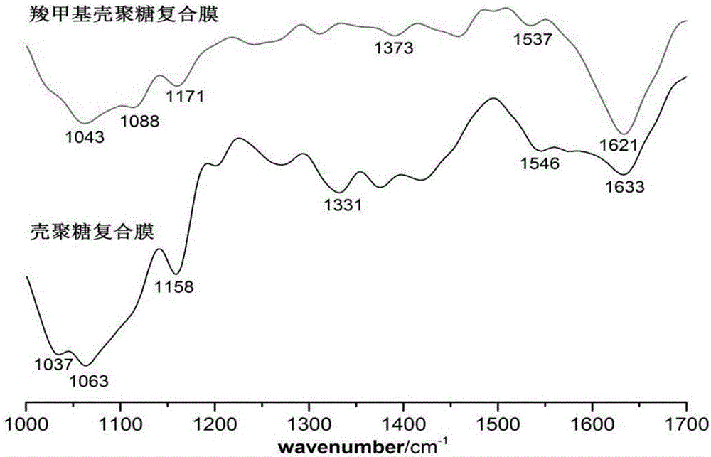 Preparation method of antibacterial composite bacterial cellulose membrane