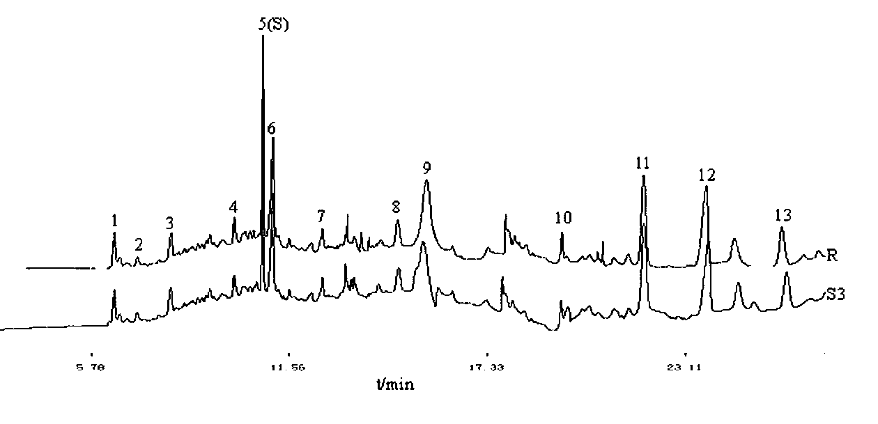 Determination method of fingerprint of Poecilobdella manillensis