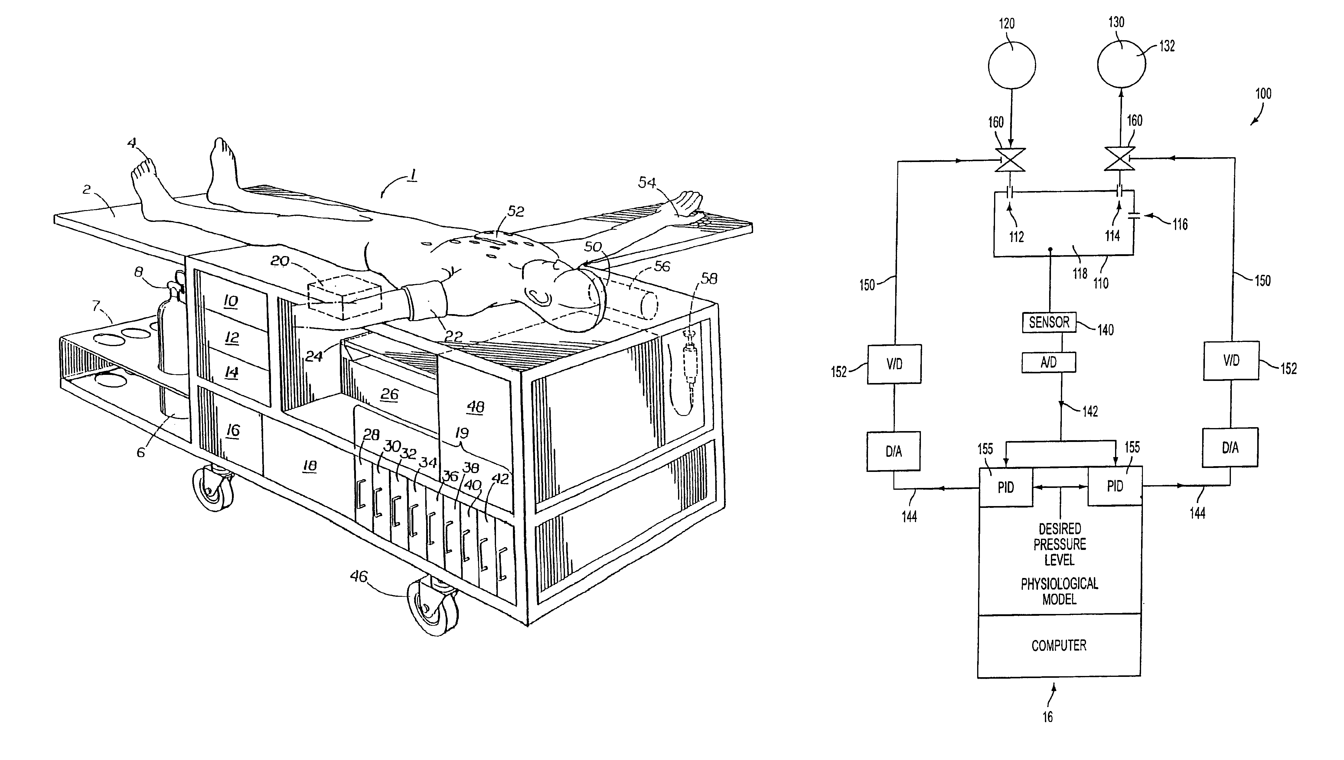 Lung simulator for an integrated human patient simulator