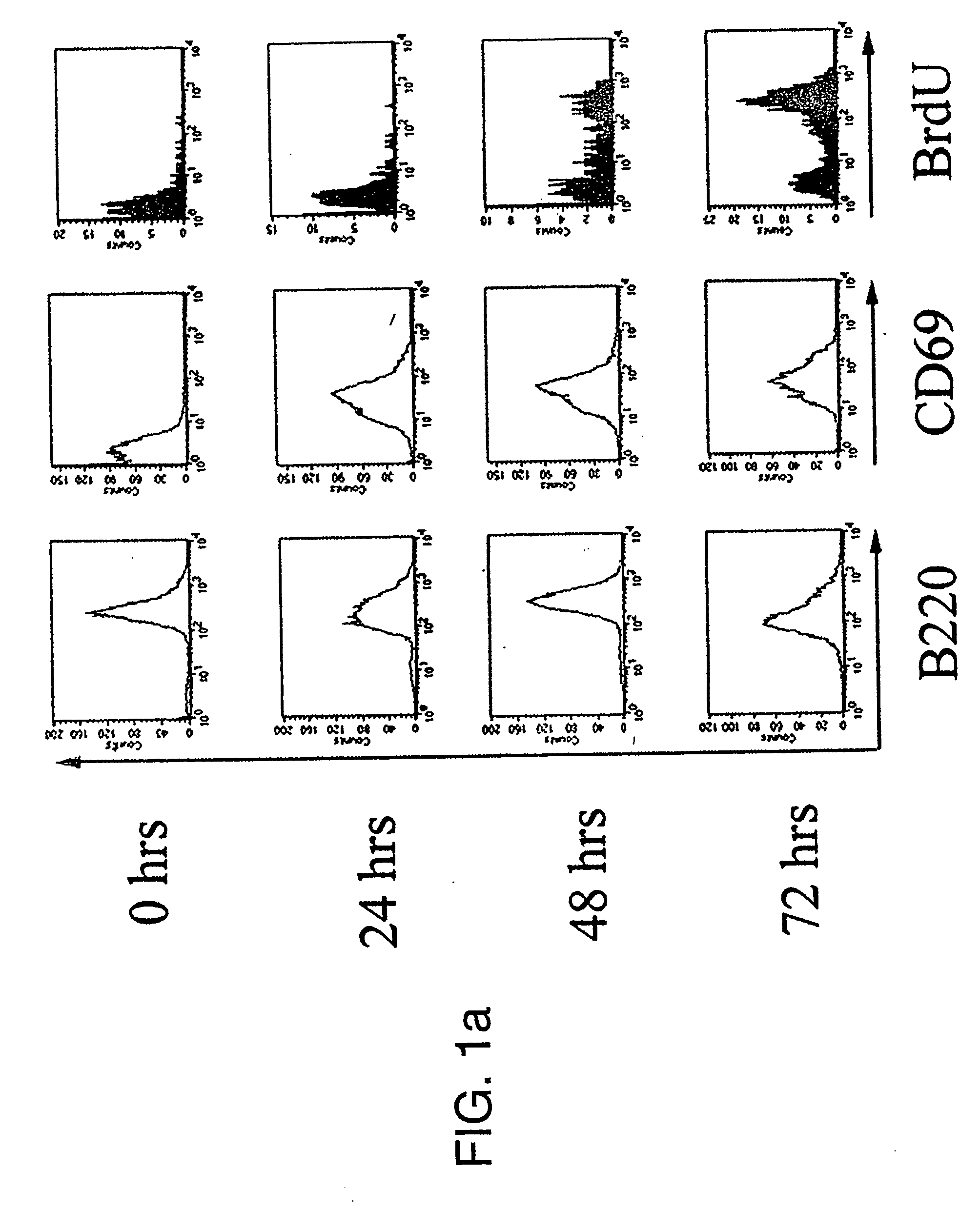 Nuclear transfer nuclei from histone hypomethylated donor cells