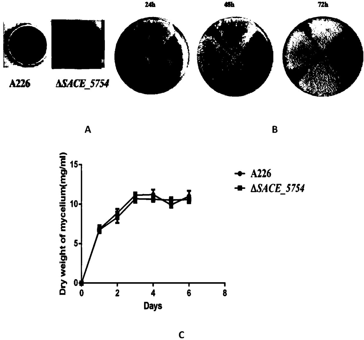 Method for increasing yield of erythromycin by SACE_5754 gene pathway of Saccharopolyspora erythraea