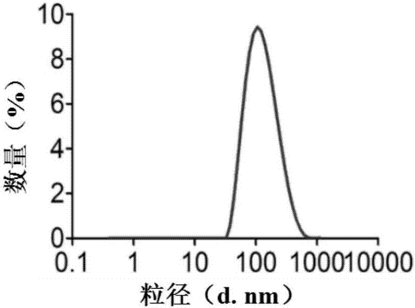 Nanocarrier medicine, as well as preparation method and application of nanocarrier medicine