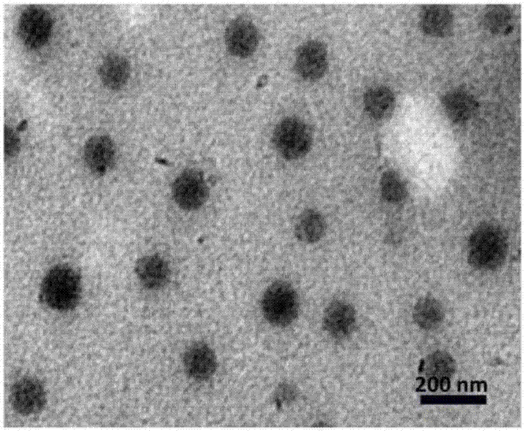 Nanocarrier medicine, as well as preparation method and application of nanocarrier medicine