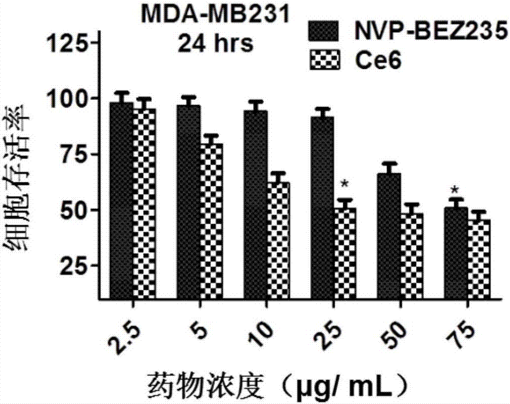 Nanocarrier medicine, as well as preparation method and application of nanocarrier medicine