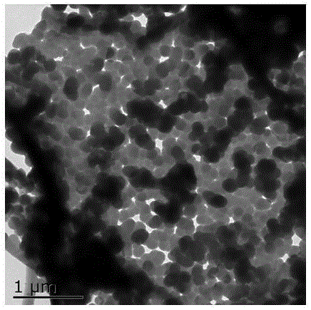 Method for synthesizing polypyrrole microcapsules