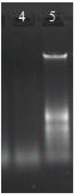 Genome cytosine site epigenome typing method