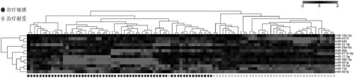 Markers and kit for predicting sensibility of HER2 positive metastatic breast cancer patients to trastuzumab