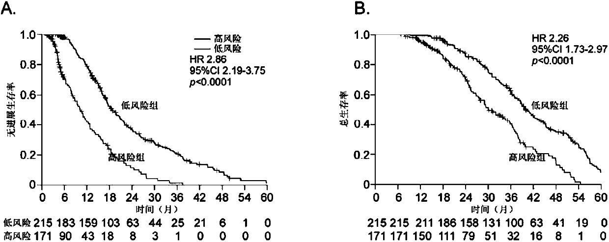 Markers and kit for predicting sensibility of HER2 positive metastatic breast cancer patients to trastuzumab