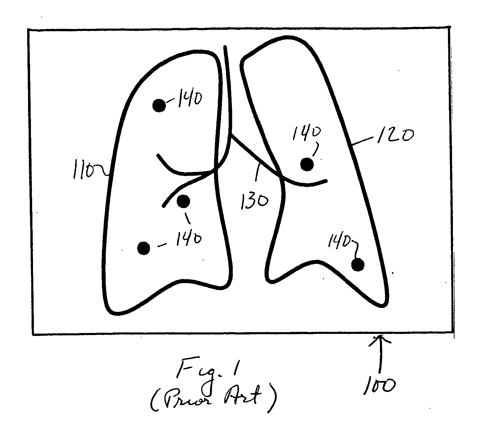 Enhanced navigational tools for comparing medical images