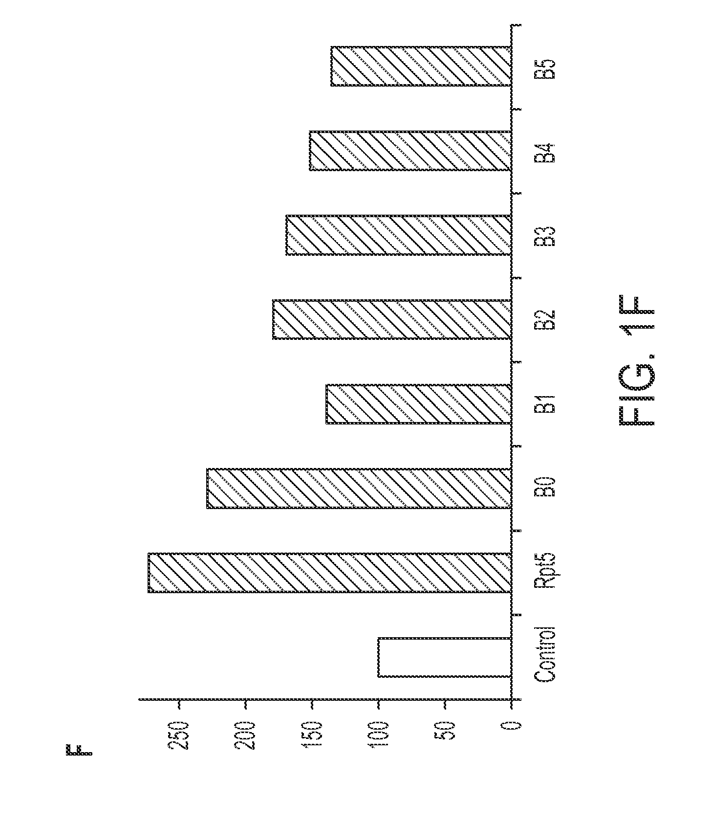 Novel allosteric inhibitors of proteasome and methods of use thereof