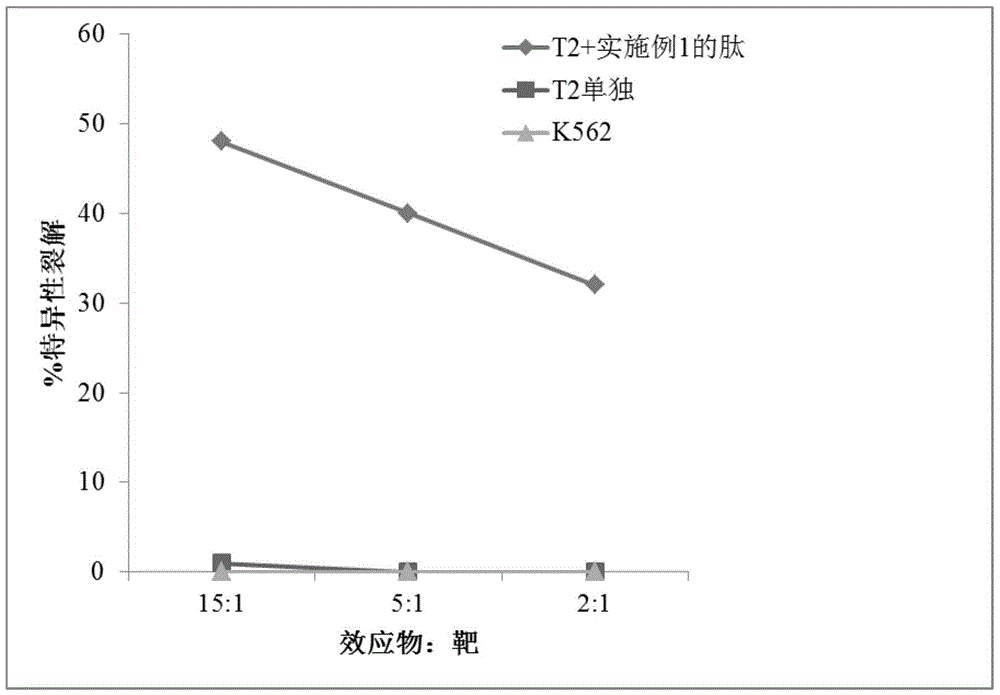 Tumor antigen peptide and uses thereof in diagnosis and medicines