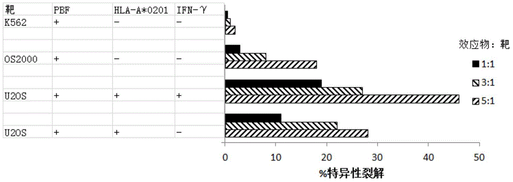 Tumor antigen peptide and uses thereof in diagnosis and medicines