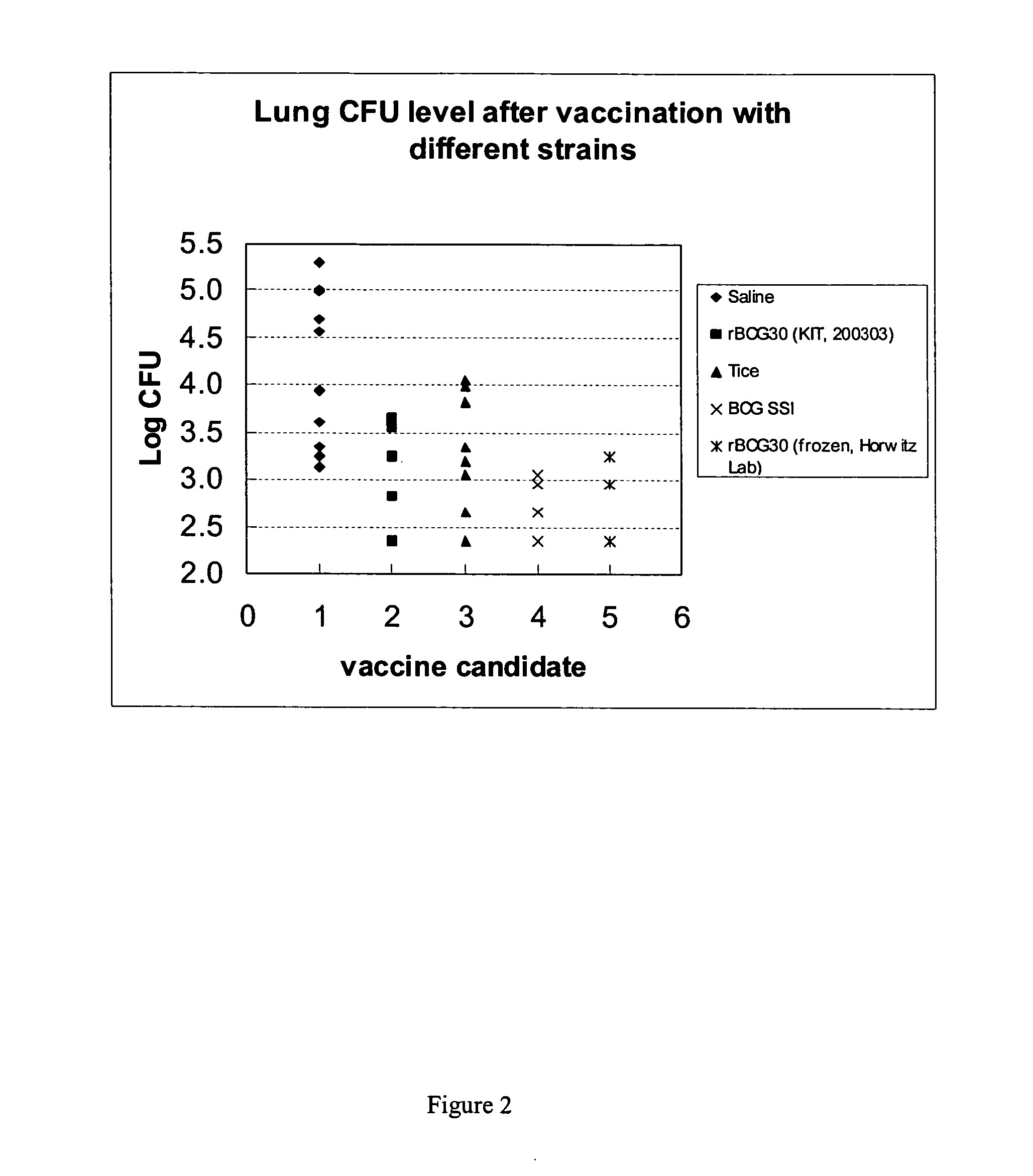 Electroporation of mycobacterium and overexpression of antigens in mycobacteria