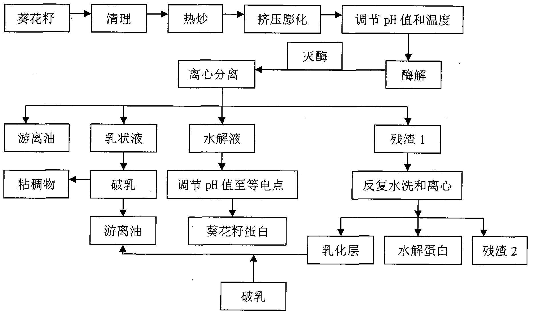 Method for extracting fragrant sunflower seed oil