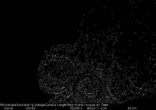 Multi-heteroatom codoped hollow porous carbon material, preparation method and application thereof